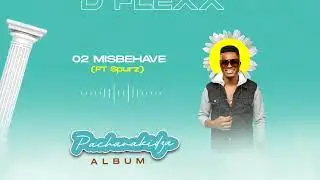 D-Flexx - Misbehave (Official Audio) ft Spurz