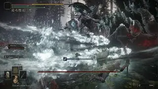 My cousin who never played Elden ring beats his first  boss