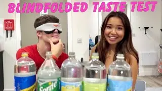 BLINDFOLDED TASTE TEST | GUESS THE BRAND CHALLENGE