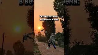 #лето