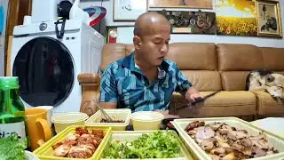 진돗개 텐 패밀리 실내 실시간, 원할머니 족발에 김치 술먹방~