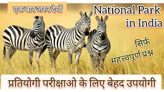 भारत के प्रमुख राष्ट्रीय उद्यान || Nation park in India || महत्वपूर्ण प्रश्न
