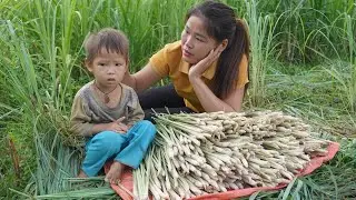 Rescue an abandoned boy and harvest a variety of fruits and vegetables to sell