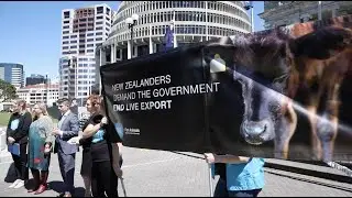 The journey to banning live export by sea