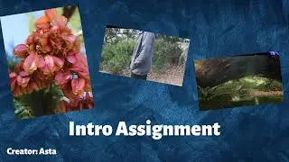 Youtube intro for Film Class