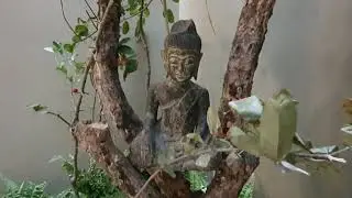 Welcome Tổ Cú version 2020