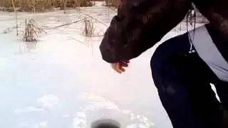 Ловля щуки на жерлицу. Ловля щуки зимой