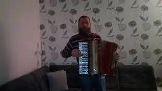 игра на аккордеоне. 