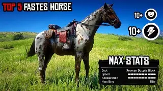 Top 5 Best, Fastest & MOST Rare Horses - RDR 2