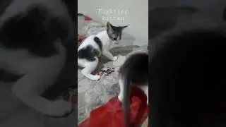 mag aaway pa kayo 