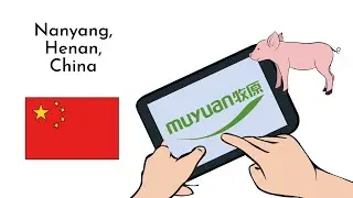 Muyuan Foods (Muyuan Foodstuff) - History and Company profile (overview)