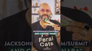 Does your cat go wild for Inaba Churu? #cats #catlovers #catvideos