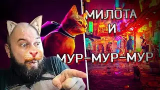 САМОЕ МИЛОЕ И ПУШИСТОЕ ПРОХОЖДЕНИЕ! STRAY Прохождение #1
