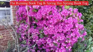 Double Tags - The Running Book Tag & Spring Has Sprung Tag + April 2021 Flower Update