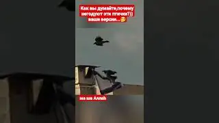 Израиль и чёрны  вороны...