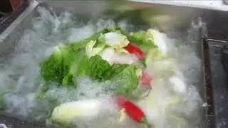 Multi-function Fruit and Vegetable Washing Machine