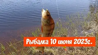 Рыбалка 10 июня 2023