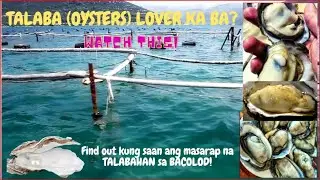TALABA (OYSTER) LOVER KA BA? MATAMBOK AT MASARAP NA TALABAHAN SA BACOLOD 