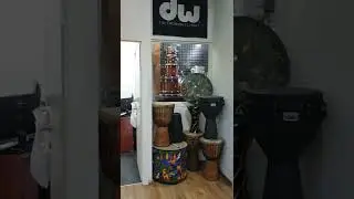 Поездка в музыкальный магазин Маром в Тель Авиве.Покупка корга.