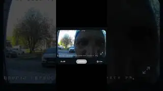 Светлана пойдем на Скамейку? Нет, я ее сейчас убив@tb начну 