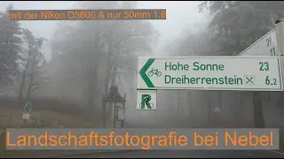 Landschaftsfotografie im Nebel | Nikon D5600 | 50mm 1.8 | Tipps