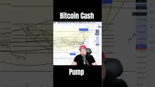 Bitcoin Cash Pump