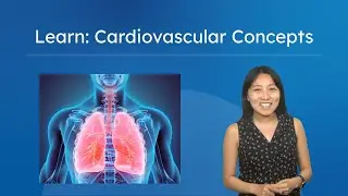 Learn: Cardiovascular Concepts - Physical Education for Teens!