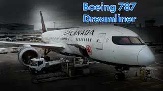 Viaje en un B787 Dreamliner, como el avión presidencial. 🛫