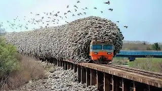 Нечто Странное Происходит по Всему Миру