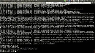 Websphere-8.5.5 - cluster creation in WebSphere application server  using cell profile