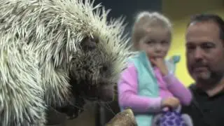 Denver Zoo's Up-Close Animal Encounters