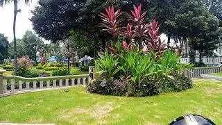 wik wik di tempat umum || gak sengaja ke rekam