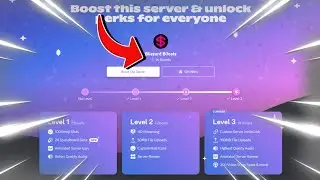 How To Boost a DISCORD Server 14 Times!