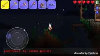 Serie Terraria #8 putos duendes