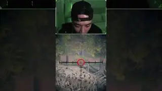 Explain this.. - Arena Breakout