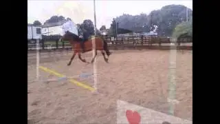 Chloe getting me to jump Bareback & no reins