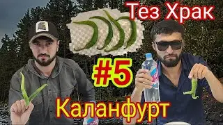 Жостки :Тез Храк #5 Каланфурт🌶️🌶️🌶️ Хурак 😆Ана ак тамошо кнен Самандар кариб Бмбра