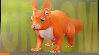 Шерсть белки в Blender для Unreal Engine Groom #11