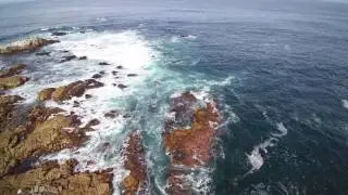 Monterrey bay lagoon
