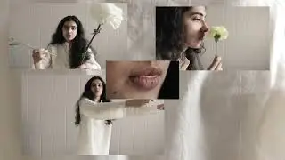 Sijya - Stonefruit