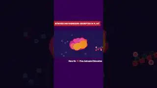 Seed's Adaptation to Help Its Dispersal #shorts