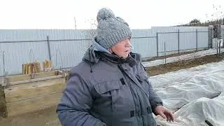 Закрываем розы на зиму !