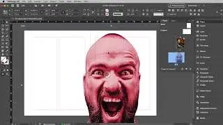 Adobe InDesign | Project 3 Demo | Assembling Multi-Page Layout