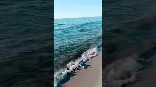 СЕРДЦЕ НА  ДВОИХ