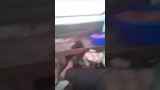 bollar mayobkada 👏👏👏😁😁😁😀😀