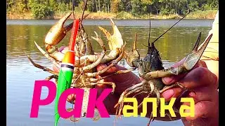 Ведро раков на поплавочную удочку.