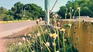 Biking Around Wherever