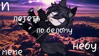 😇И_лететь_по_белому_свету😇(МеМе)