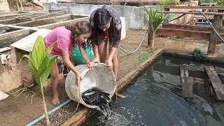 ESSES VOU DEIXAR PRA FICAR MONSTRO PRA PESCAR 🎣 @izabellypretti387
