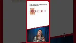 Shorts 11 - İnsan vücudunda hangi organlarda mikrovillus vardır?